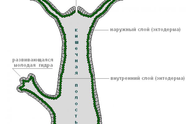 Работающие ссылки омг